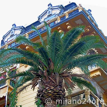 Palmen in La Spezia