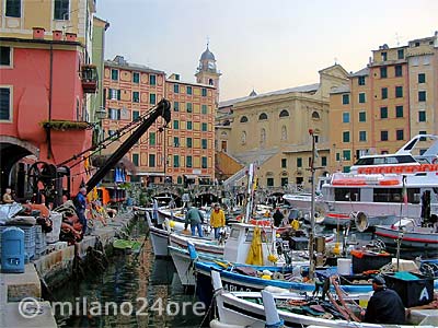 Fischerhafen Camogli