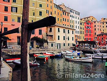 Camogli am Hafen