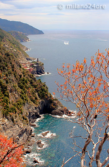 typische Landschaft der Cinque Terre