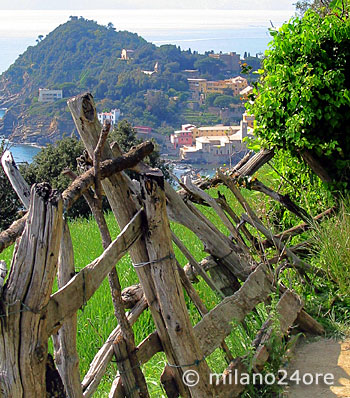 Casa Manrella Sestri Levante