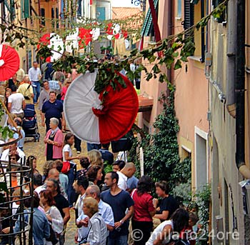 Weinfest - Festa del vino