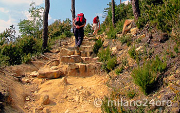 Panorama-Wanderweg an der ligurischen Küste